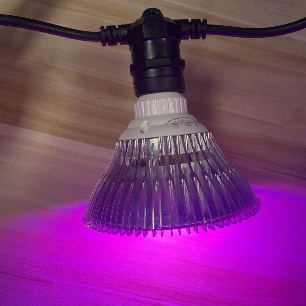 10M 케이블 LED 스트링 조명, 상업용 등급 방수, - Outdoor Lighting Manufacturers 리뷰 및 가격